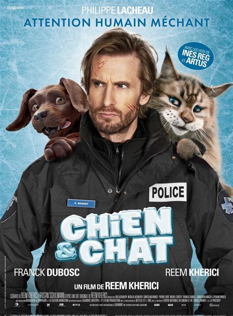 Chien et chat 2025